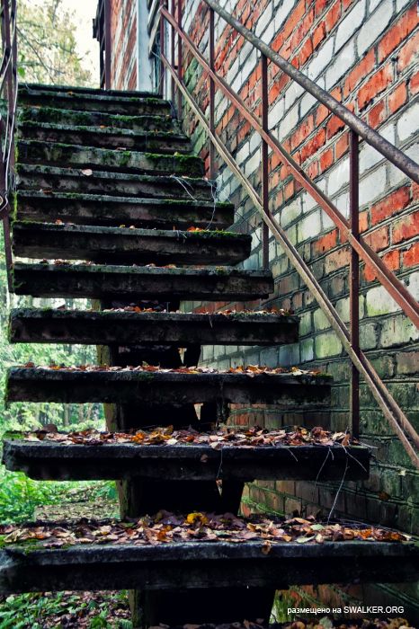 Лагерь Солнечная поляна