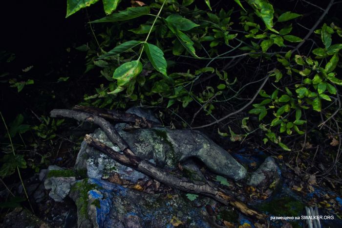 Лагерь Солнечная поляна