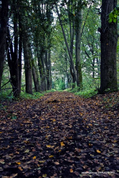 Лагерь Солнечная поляна