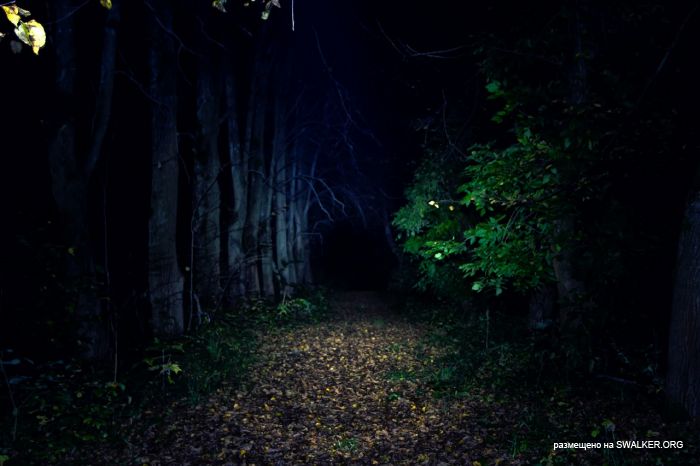 Лагерь Солнечная поляна