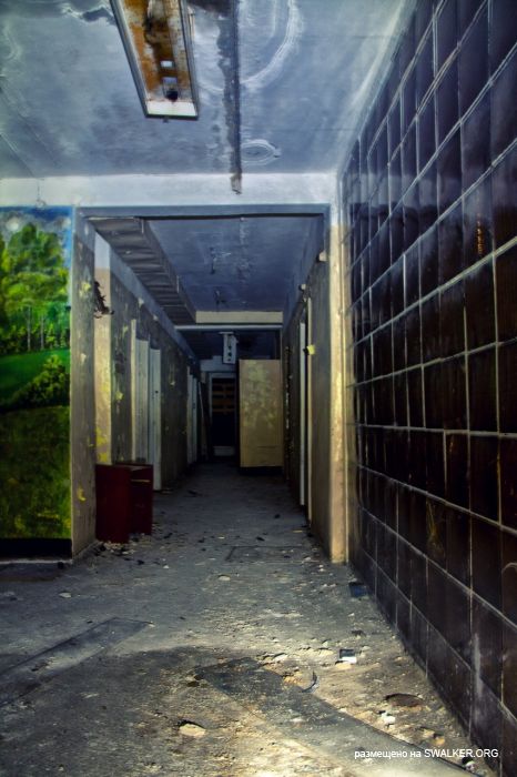 Лагерь Солнечная поляна