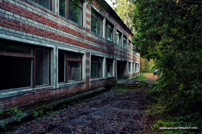 Лагерь Солнечная поляна