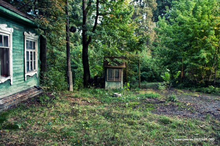 Лагерь Солнечная поляна