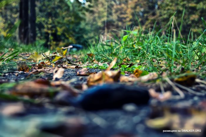 Лагерь Солнечная поляна