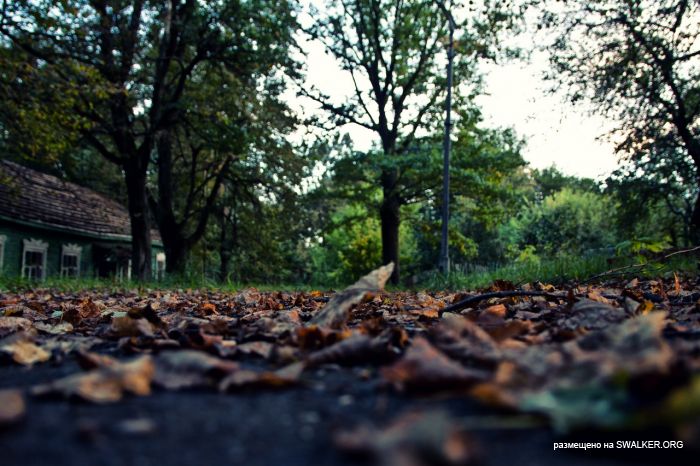 Лагерь Солнечная поляна