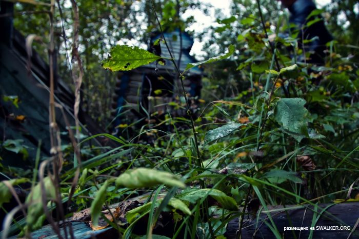 Лагерь Солнечная поляна