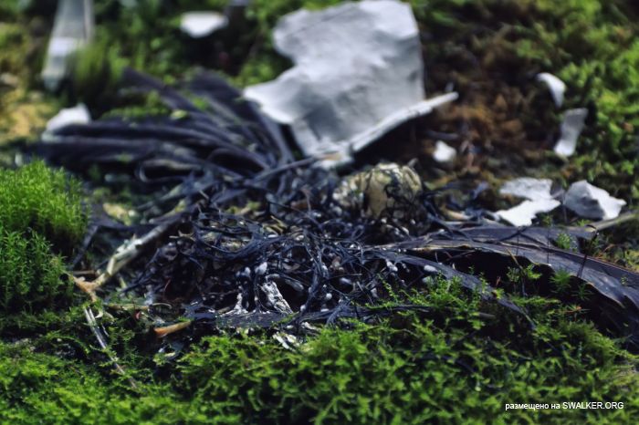 Лагерь Солнечная поляна