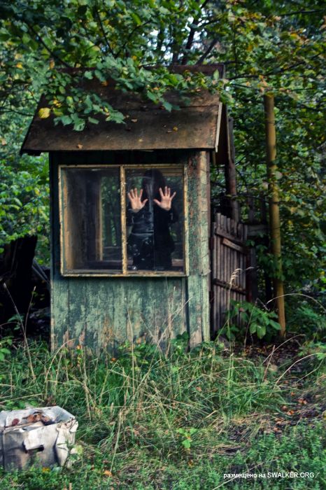 Лагерь Солнечная поляна