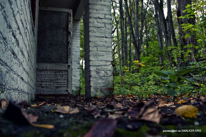 Лагерь Солнечная поляна