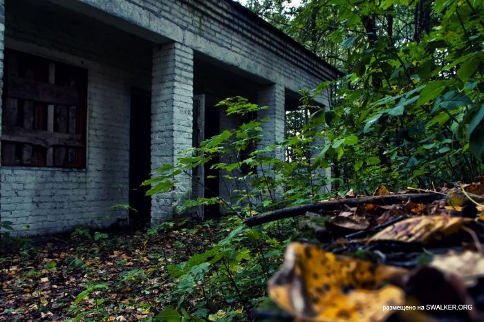 Лагерь Солнечная поляна