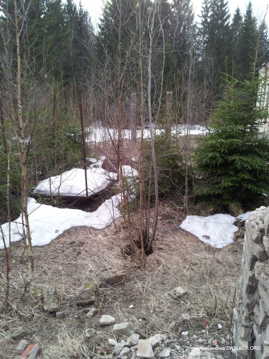 Брошенный Передающий радиоцентр, Московская область