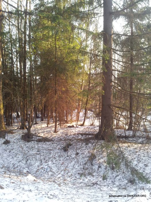 Брошенный Передающий радиоцентр, Московская область