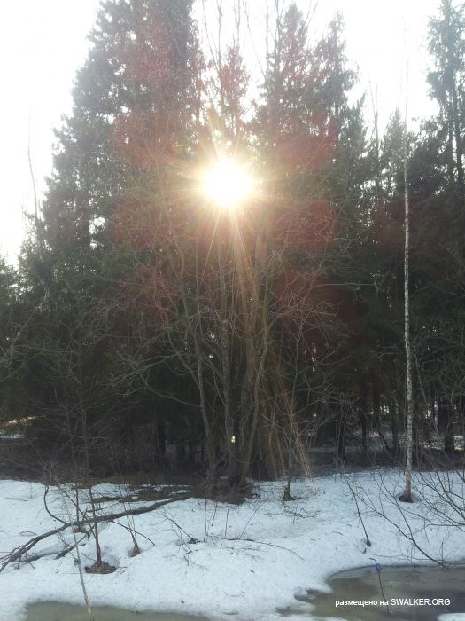 Брошенный Передающий радиоцентр, Московская область