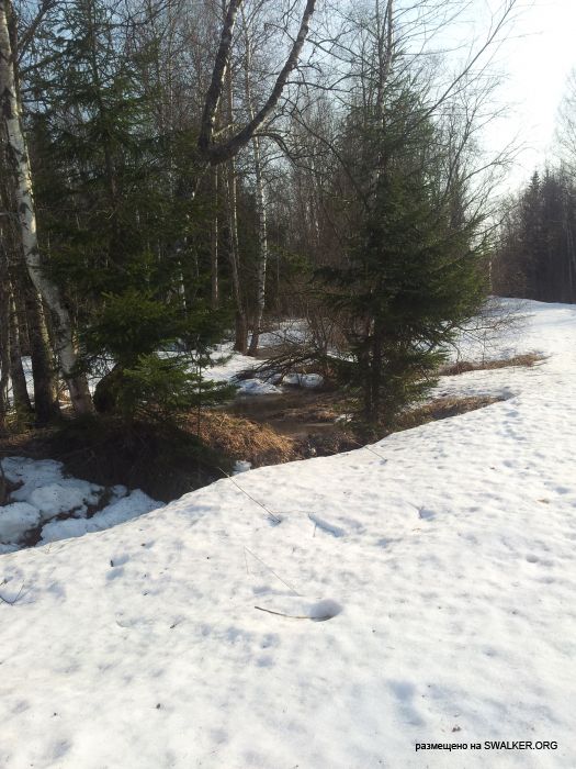 Брошенный Передающий радиоцентр, Московская область