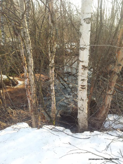 Брошенный Передающий радиоцентр, Московская область