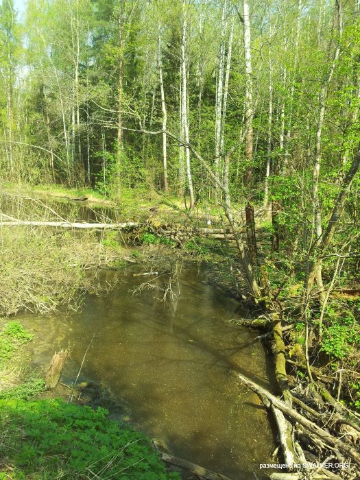 Брошенный Передающий радиоцентр, Московская область