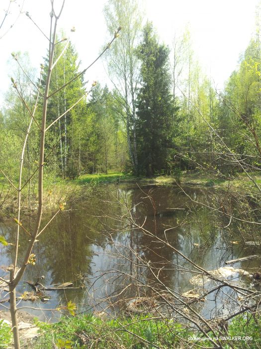 Брошенный Передающий радиоцентр, Московская область