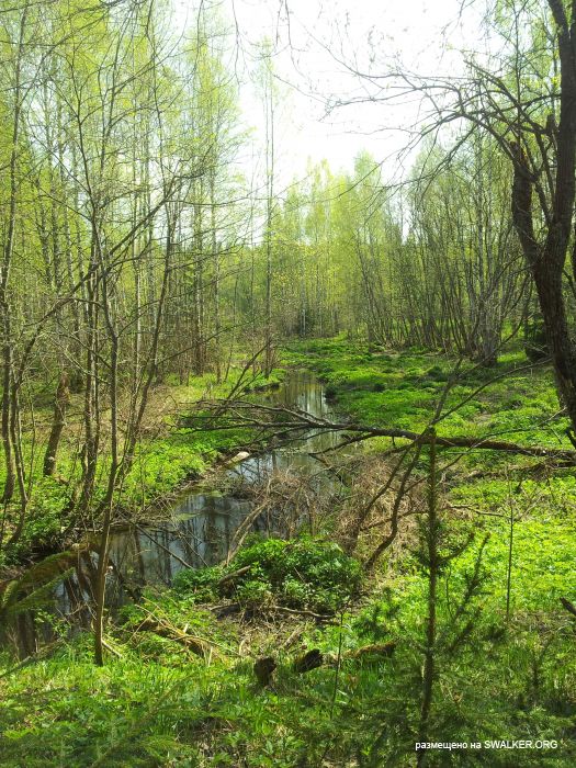 Брошенный Передающий радиоцентр, Московская область