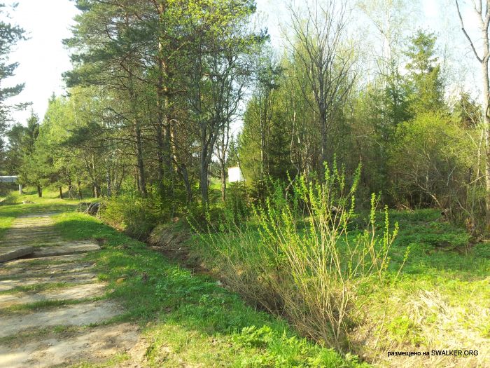 Брошенный Передающий радиоцентр, Московская область