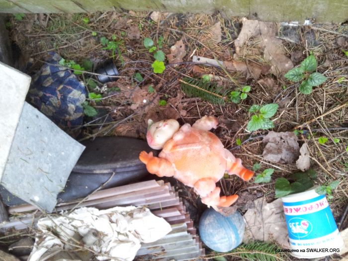 Брошенный Передающий радиоцентр, Московская область