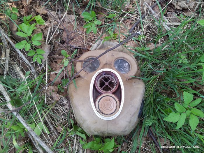 Брошенный Передающий радиоцентр, Московская область