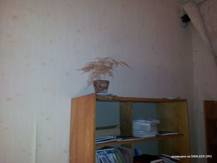 Брошенный Передающий радиоцентр, Московская область