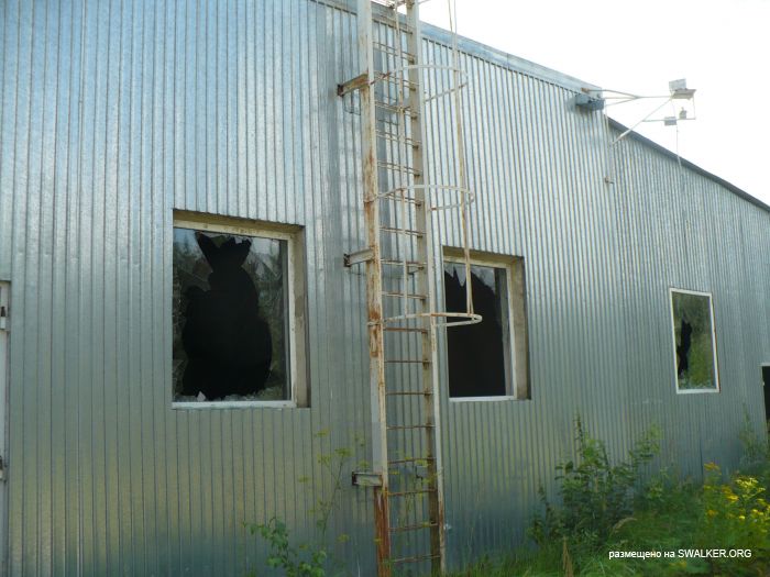 Заброшенный цех по производству биологически активных добавок (БАД)