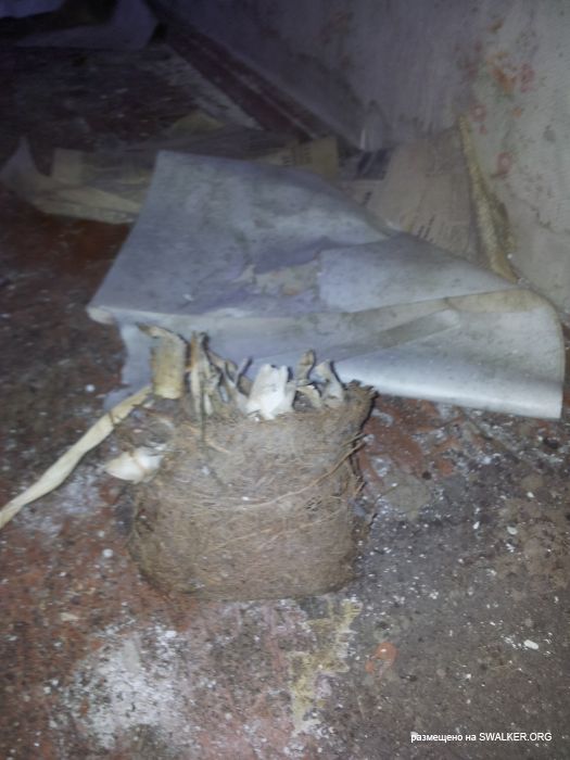 Брошенный военный городок, Московская область, часть 2 Брошенный военный городок, Московская область, часть 2