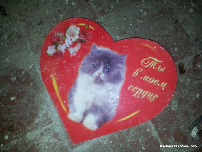 Брошенный военный городок, Московская область, часть 2 Брошенный военный городок, Московская область, часть 2