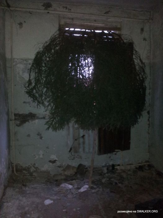 Брошенный военный городок, Московская область, часть 2 Брошенный военный городок, Московская область, часть 2