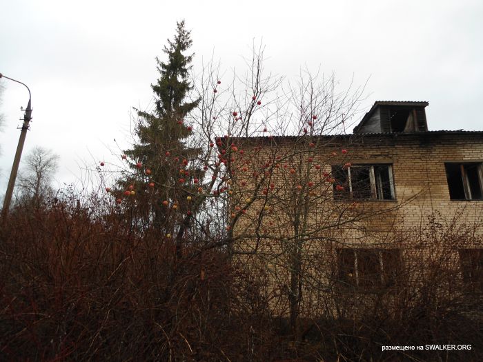 Брошенный военный городок, Московская область, часть 2 Брошенный военный городок, Московская область, часть 2