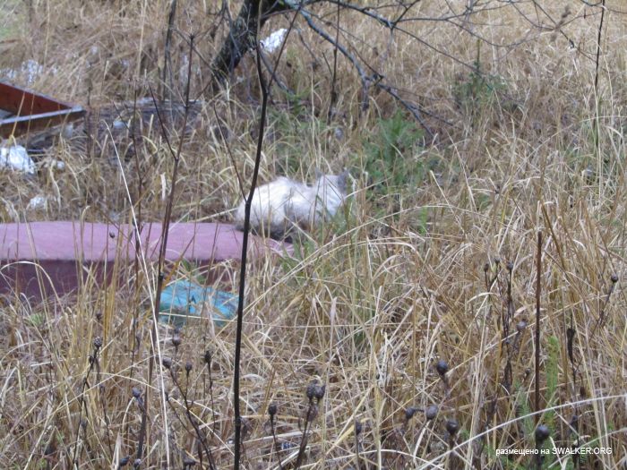 Брошенный военный городок, Московская область, часть 2 Брошенный военный городок, Московская область, часть 2