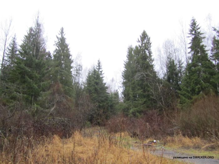 Брошенный военный городок, Московская область, часть 2 Брошенный военный городок, Московская область, часть 2