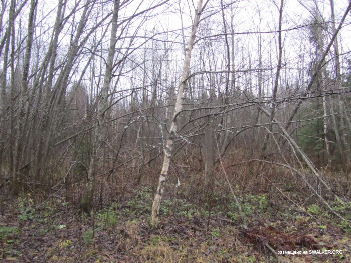 Брошенный военный городок, Московская область, часть 2 Брошенный военный городок, Московская область, часть 2