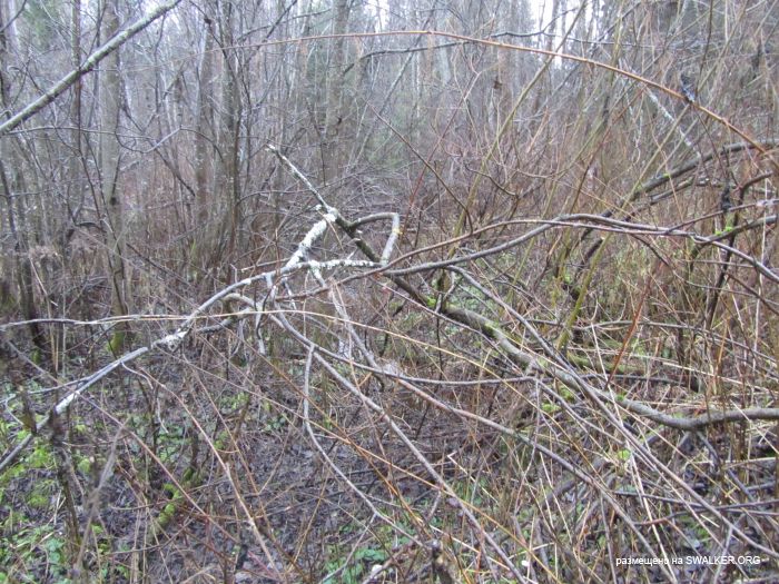 Брошенный военный городок, Московская область, часть 2 Брошенный военный городок, Московская область, часть 2