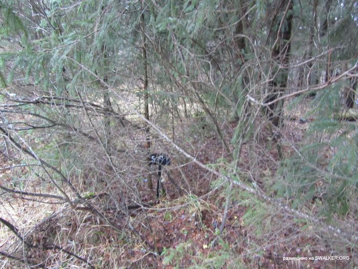 Брошенный военный городок, Московская область, часть 2 Брошенный военный городок, Московская область, часть 2