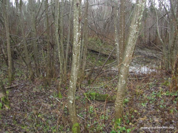 Брошенный военный городок, Московская область, часть 2 Брошенный военный городок, Московская область, часть 2