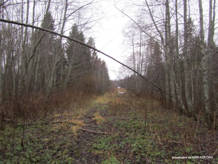 Брошенный военный городок, Московская область, часть 2 Брошенный военный городок, Московская область, часть 2