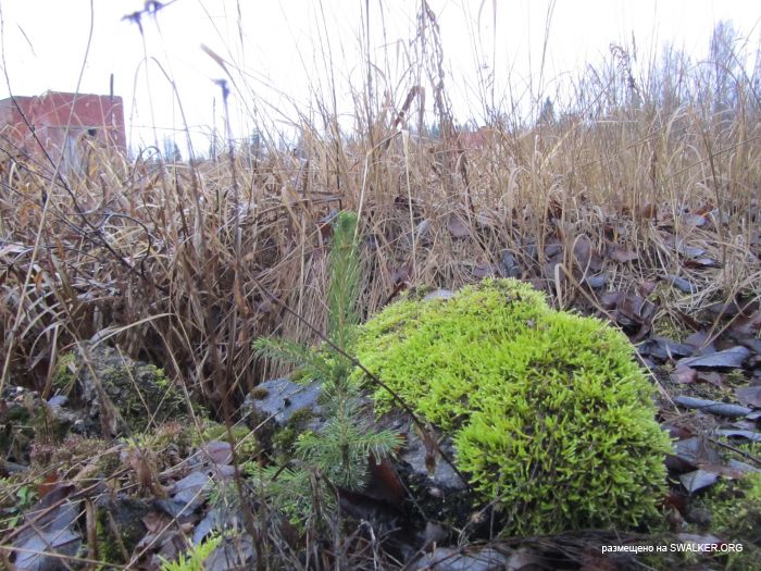 Брошенный военный городок, Московская область, часть 2 Брошенный военный городок, Московская область, часть 2