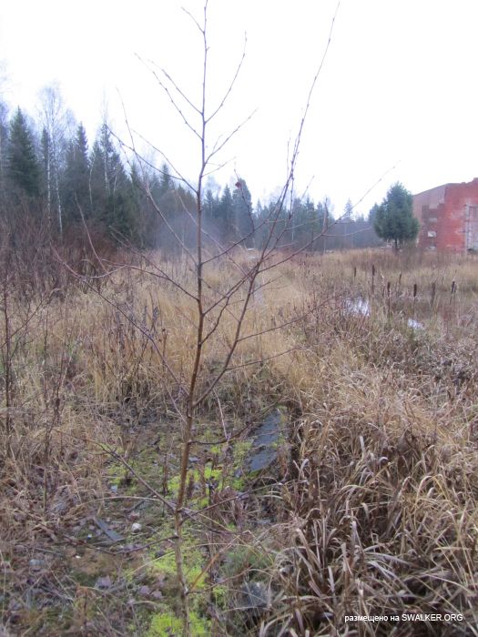 Брошенный военный городок, Московская область, часть 2 Брошенный военный городок, Московская область, часть 2