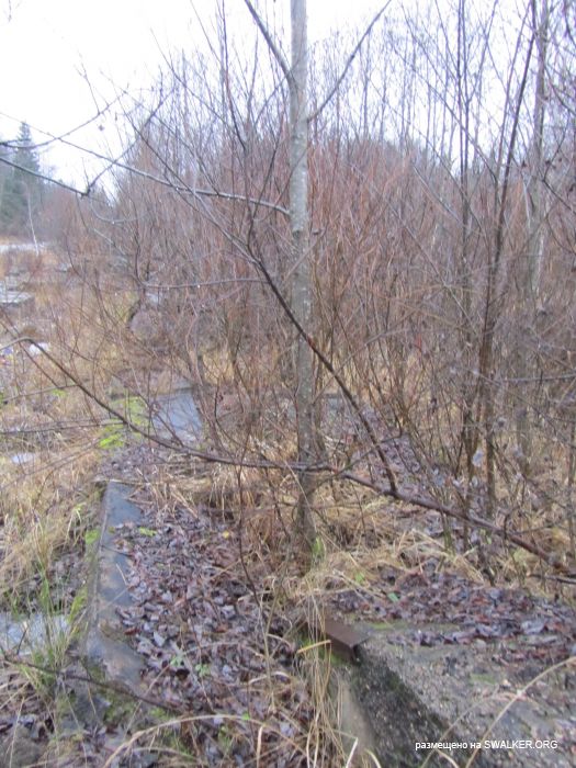 Брошенный военный городок, Московская область, часть 2 Брошенный военный городок, Московская область, часть 2