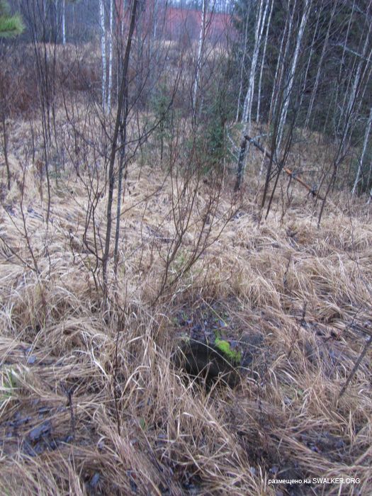 Брошенный военный городок, Московская область, часть 2 Брошенный военный городок, Московская область, часть 2