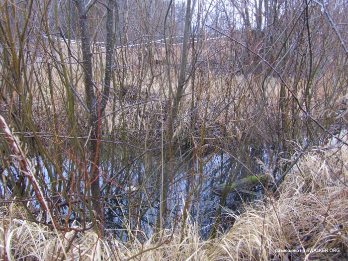 Брошенный военный городок, Московская область, часть 2 Брошенный военный городок, Московская область, часть 2