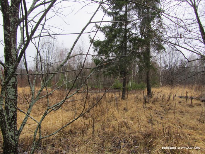Брошенный военный городок, Московская область, часть 2 Брошенный военный городок, Московская область, часть 2