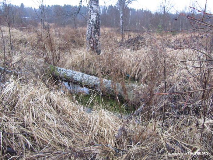 Брошенный военный городок, Московская область, часть 2 Брошенный военный городок, Московская область, часть 2