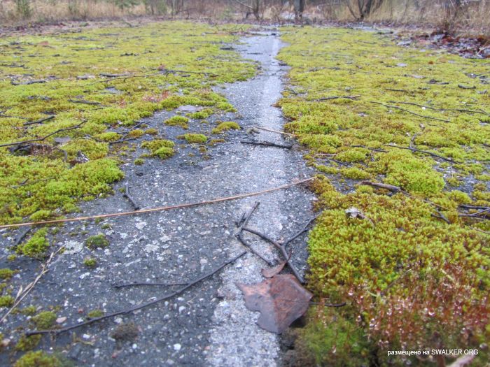 Брошенный военный городок, Московская область, часть 2 Брошенный военный городок, Московская область, часть 2