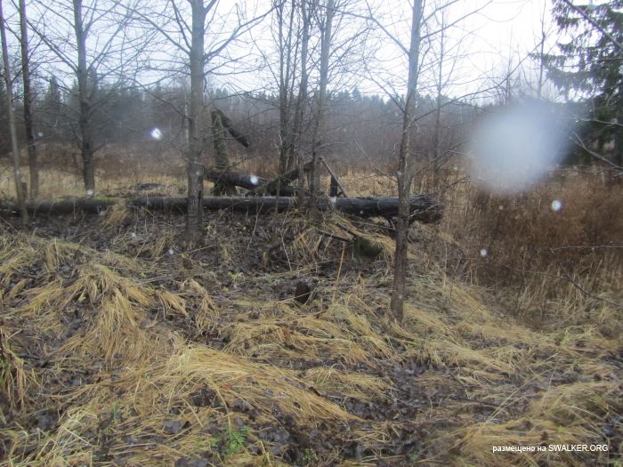 Брошенный военный городок, Московская область, часть 2 Брошенный военный городок, Московская область, часть 2
