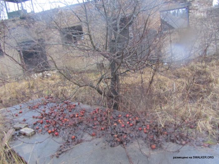 Брошенный военный городок, Московская область, часть 2 Брошенный военный городок, Московская область, часть 2