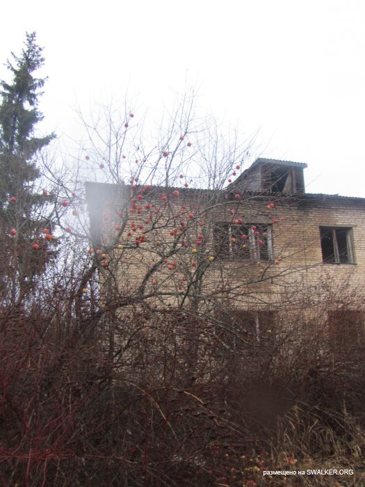 Брошенный военный городок, Московская область, часть 2 Брошенный военный городок, Московская область, часть 2