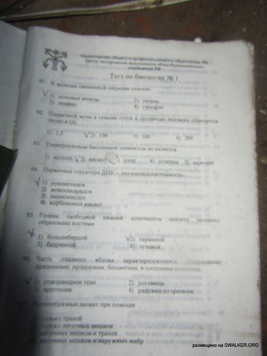 Брошенный военный городок, Московская область, часть 2 Брошенный военный городок, Московская область, часть 2